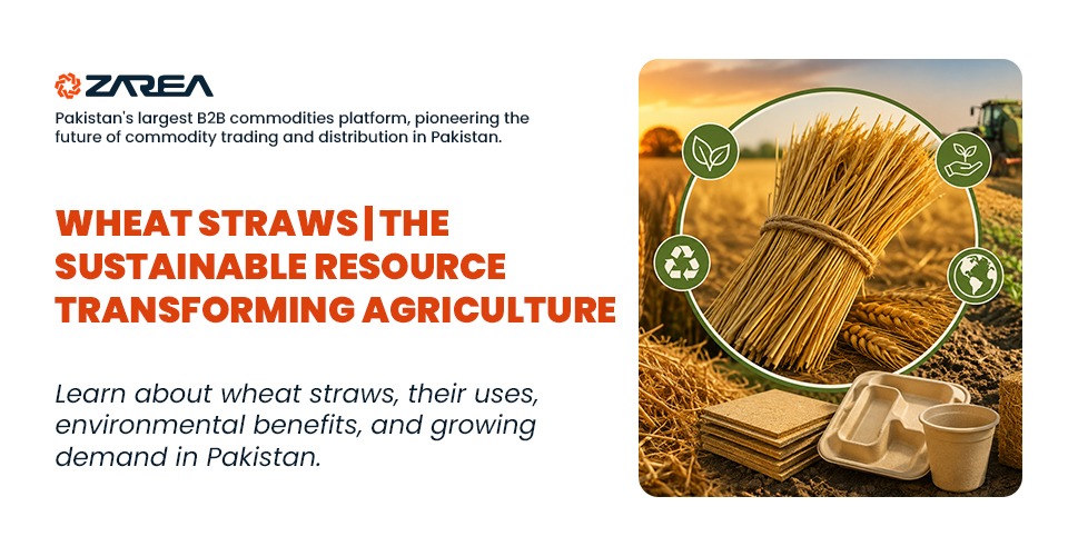 Wheat Straws | The Sustainable Resource Transforming Agriculture and Industry